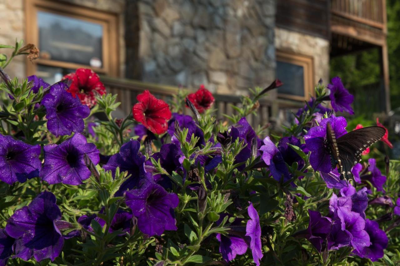 Spruce Pine Springmaid Mountain 빌라 외부 사진